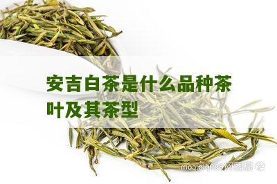 安吉白茶是什么品种茶叶及其茶型