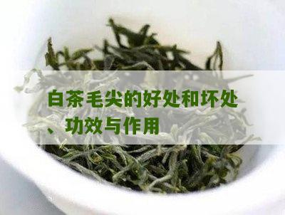 白茶毛尖的好处和坏处、功效与作用