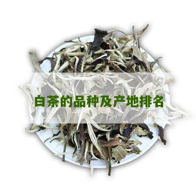 白茶的品种及产地排名