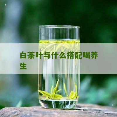 白茶叶与什么搭配喝养生