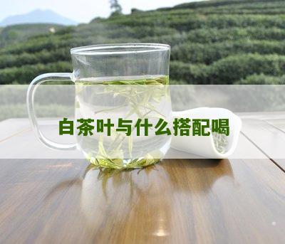 白茶叶与什么搭配喝