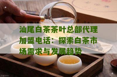 汕尾白茶茶叶总部代理加盟电话：探索白茶市场需求与发展趋势