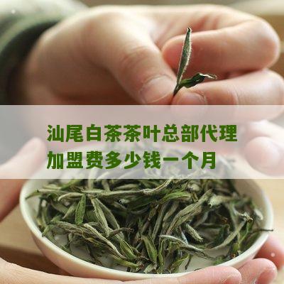 汕尾白茶茶叶总部代理加盟费多少钱一个月