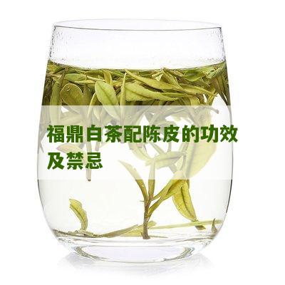 福鼎白茶配陈皮的功效及禁忌