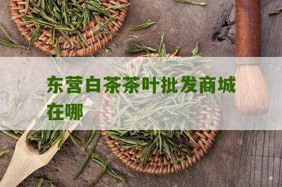 东营白茶茶叶批发商城在哪