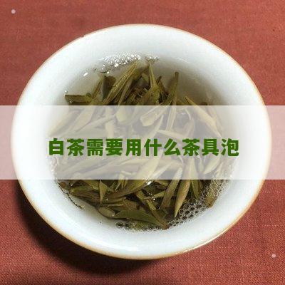 白茶需要用什么茶具泡