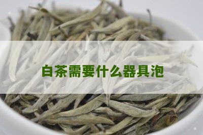 白茶需要什么器具泡