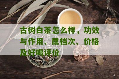 古树白茶怎么样，功效与作用、属档次、价格及好喝评价