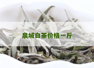 泉城白茶价格一斤