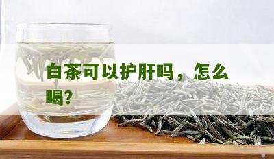 白茶可以护肝吗，怎么喝？