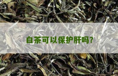 白茶可以保护肝吗？