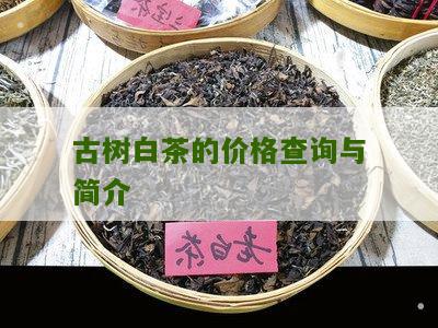 古树白茶的价格查询与简介