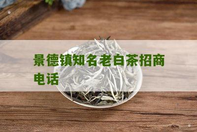 景德镇知名老白茶招商电话