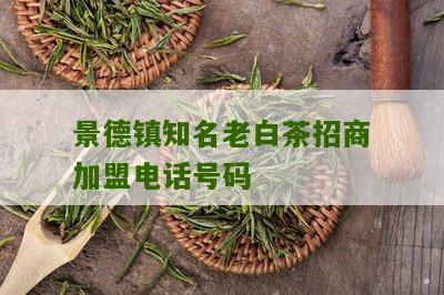 景德镇知名老白茶招商加盟电话号码