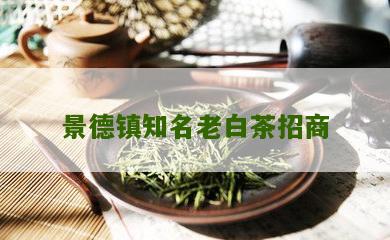 景德镇知名老白茶招商