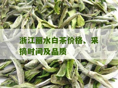 浙江丽水白茶价格、采摘时间及品质