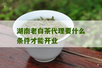 湖南老白茶代理要什么条件才能开业