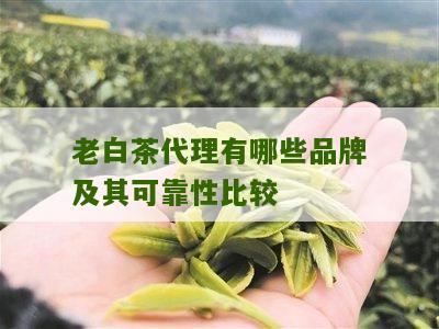 老白茶代理有哪些品牌及其可靠性比较