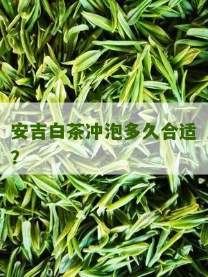 安吉白茶冲泡多久合适？