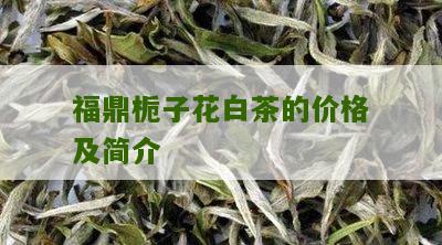 福鼎栀子花白茶的价格及简介