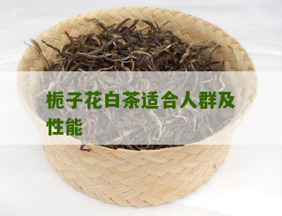 栀子花白茶适合人群及性能