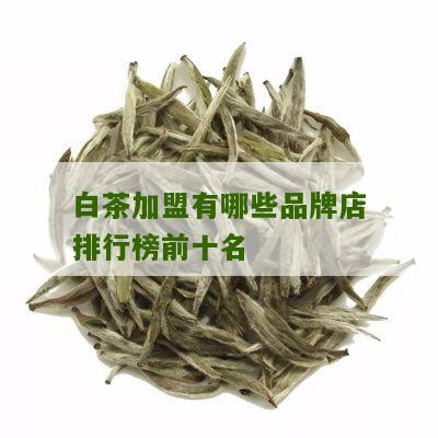 白茶加盟有哪些品牌店排行榜前十名