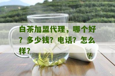 白茶加盟代理，哪个好？多少钱？电话？怎么样？