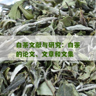 白茶文献与研究：白茶的论文、文章和文集