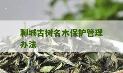 聊城古树名木保护管理办法