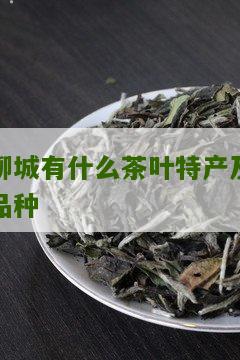 聊城有什么茶叶特产及品种