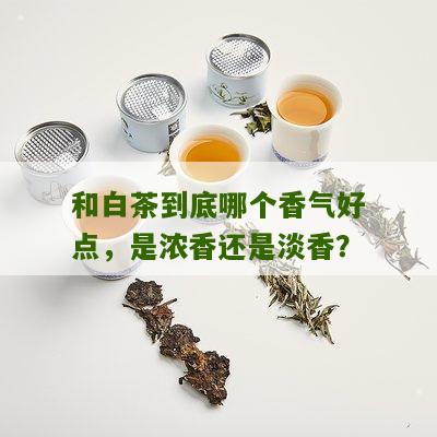 和白茶到底哪个香气好点，是浓香还是淡香？