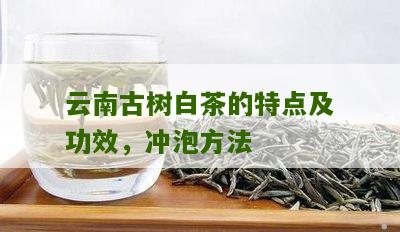 云南古树白茶的特点及功效，冲泡方法