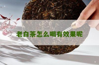 老白茶怎么喝有效果呢