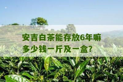 安吉白茶能存放6年嘛多少钱一斤及一盒？