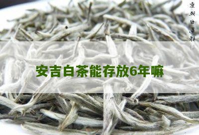 安吉白茶能存放6年嘛