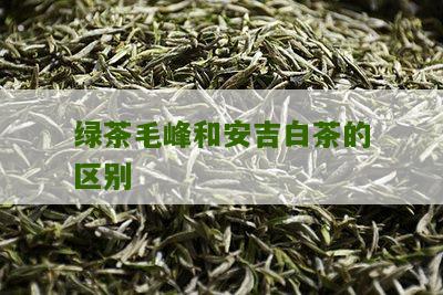 绿茶毛峰和安吉白茶的区别