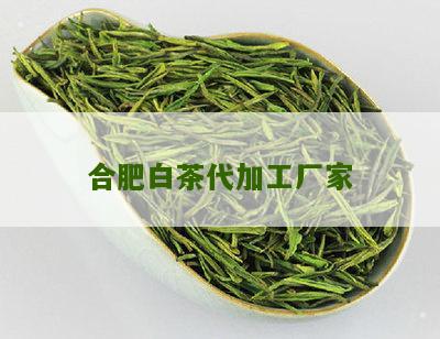 合肥白茶代加工厂家