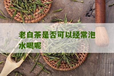 老白茶是否可以经常泡水喝呢