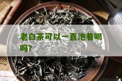 老白茶可以一直泡着喝吗？