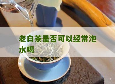 老白茶是否可以经常泡水喝