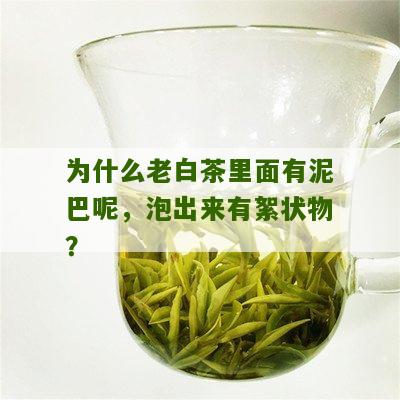 为什么老白茶里面有泥巴呢，泡出来有絮状物？