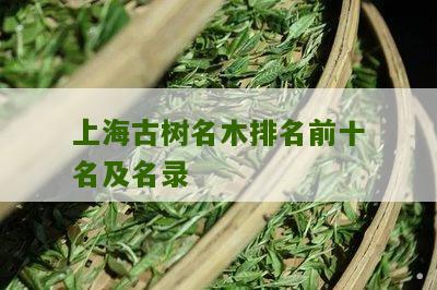 上海古树名木排名前十名及名录