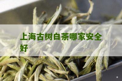 上海古树白茶哪家安全好