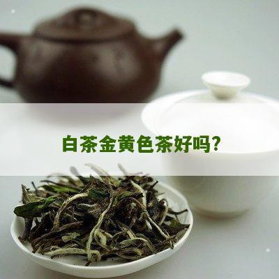 白茶金黄色茶好吗?