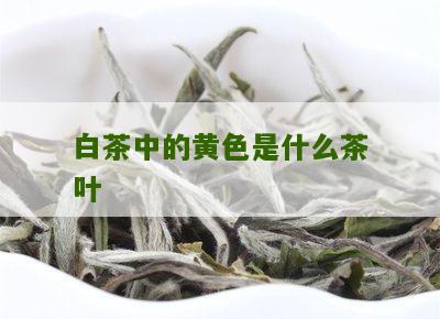 白茶中的黄色是什么茶叶