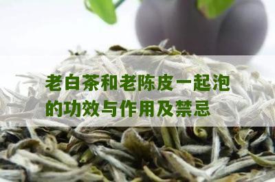 老白茶和老陈皮一起泡的功效与作用及禁忌