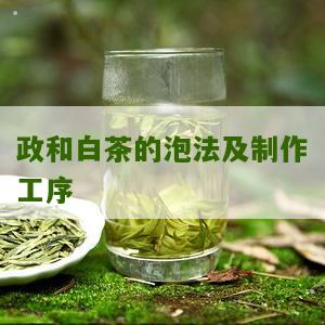 政和白茶的泡法及制作工序