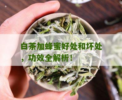 白茶加蜂蜜好处和坏处，功效全解析！