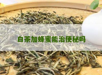 白茶加蜂蜜能治便秘吗