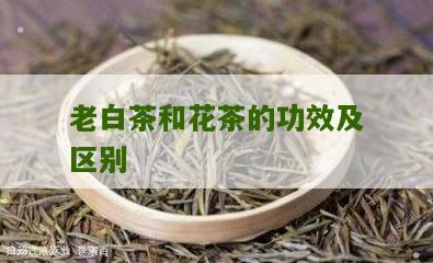 老白茶和花茶的功效及区别